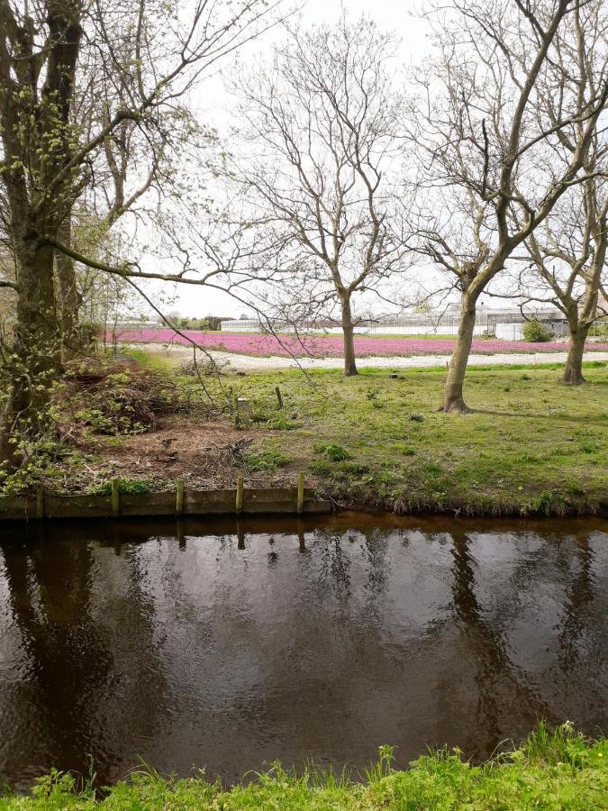 B & B De Gouwe Plek Hoogwoud Exteriör bild