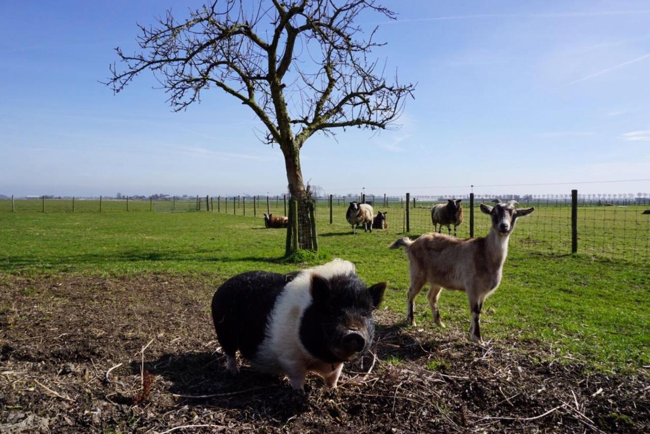 B & B De Gouwe Plek Hoogwoud Exteriör bild